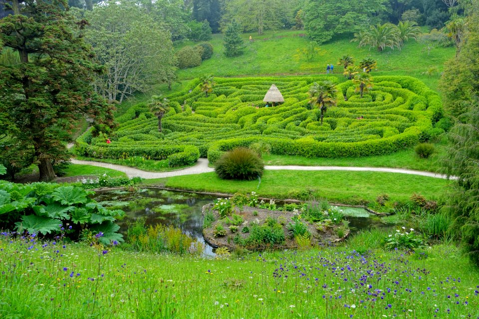 Maze - Glendurgan Garden - Cornwall, England - DSC01818