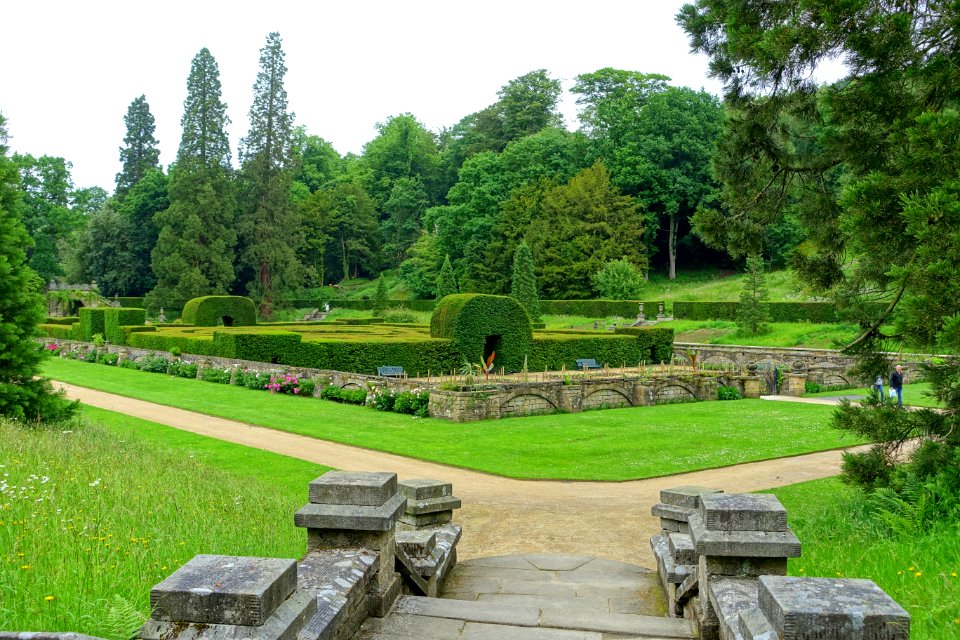 Maze - Chatsworth House - Derbyshire, England - DSC03597