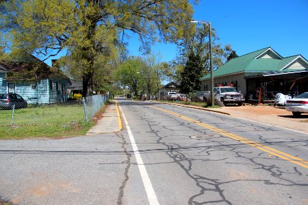 Mayflower Street, Atco Georgia April 2017 1 photo