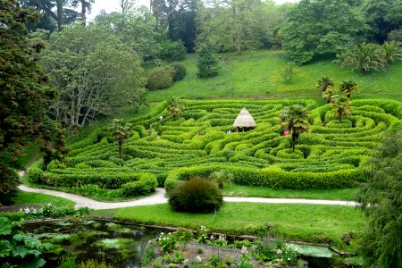Maze - Glendurgan Garden - Cornwall, England - DSC01814