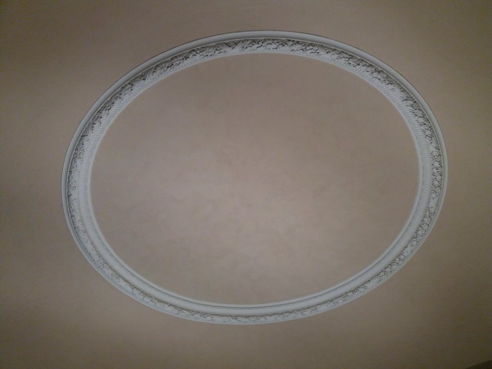 MBA de Lyon - Plafond de la salle Paul Dissard
