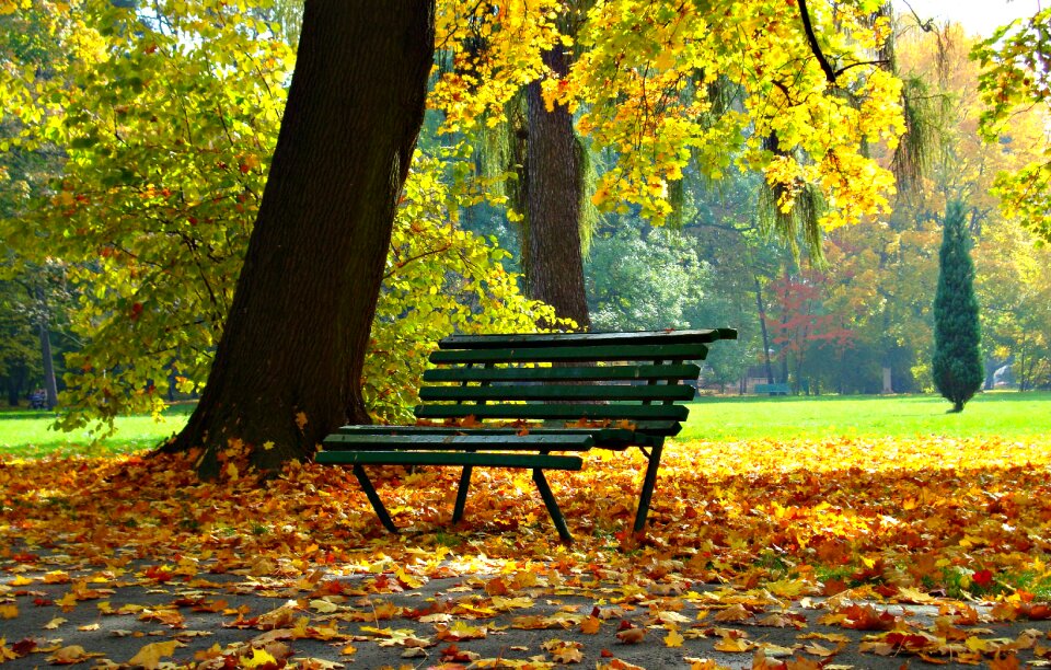 Autumn gold landscape scenically