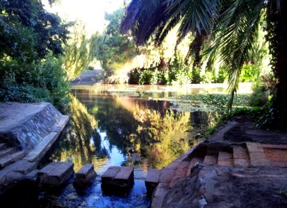 Maynardville Park - Wynberg - Cape Town - SA 5