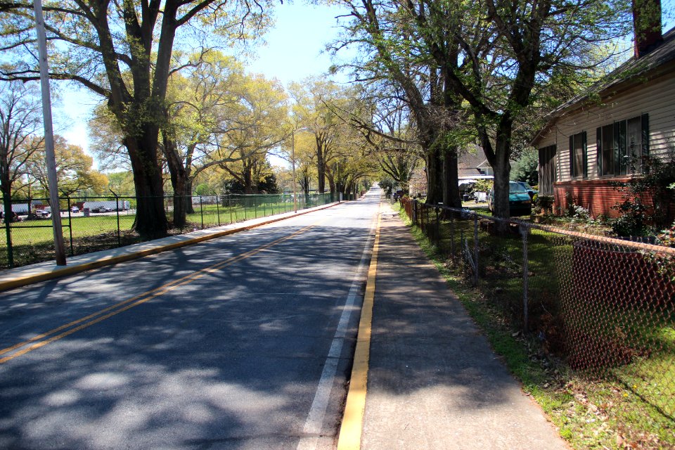 Mayflower Street, Atco Georgia April 2017 2