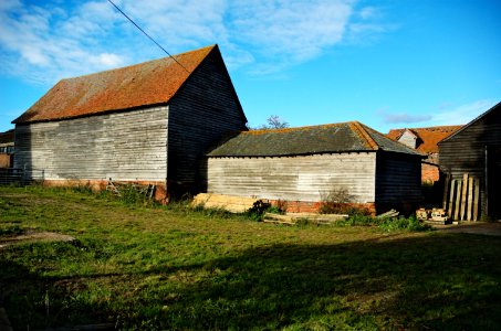 Maynes-Farm-20051002-048