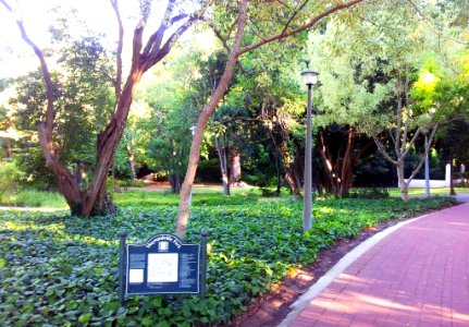 Maynardville Park and theatre - Wynberg - Cape Town - SA 4