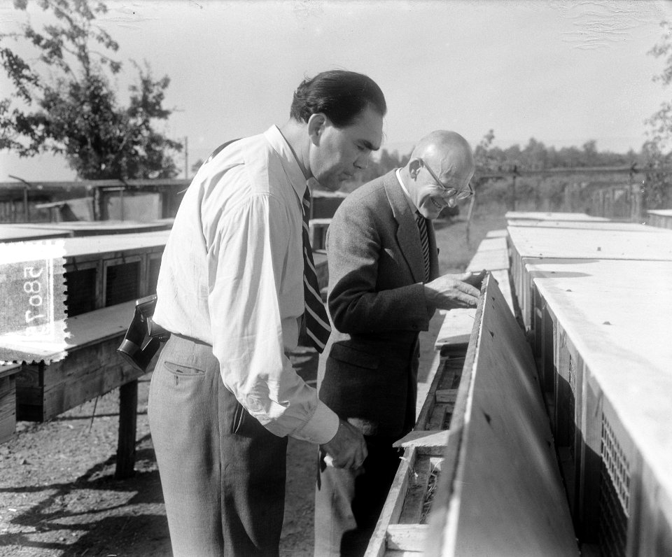 Max Schmeling in Nederland (Elst) bezichtigt Nertzfarm, Bestanddeelnr 905-8075