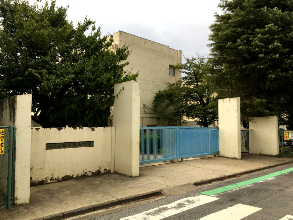 Matsudo negiuchi elemenatry school01