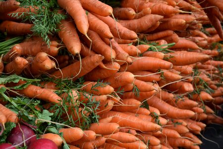 Vegetables veggies carrots photo