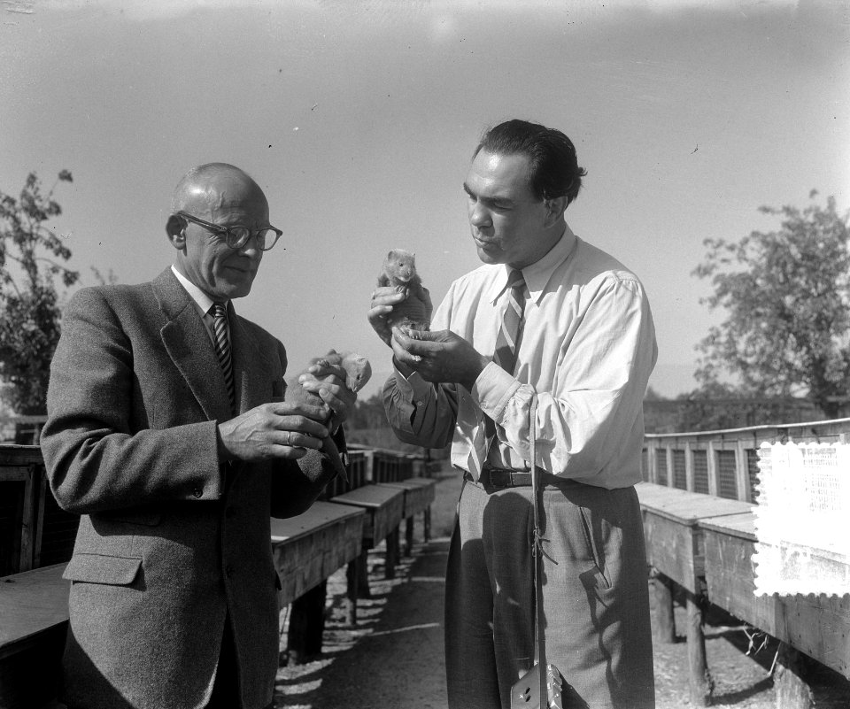 Max Schmeling in Nederland (Elst) bezichtigt Nertzfarm, Bestanddeelnr 905-8078