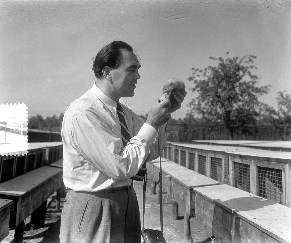 Max Schmeling in Nederland (Elst) bezichtigt Nertzfarm, Bestanddeelnr 905-8077