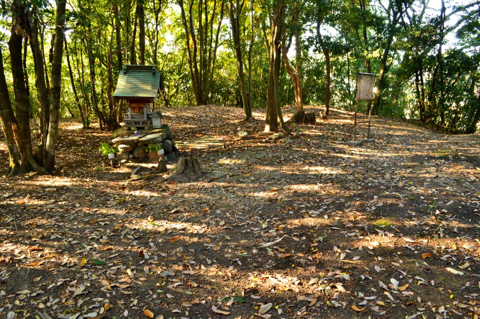 Matsumoto Kofun, funcho