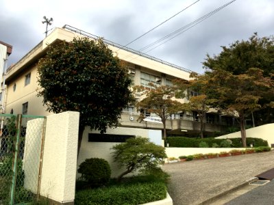 Matsudo negiuchi junior highschool01