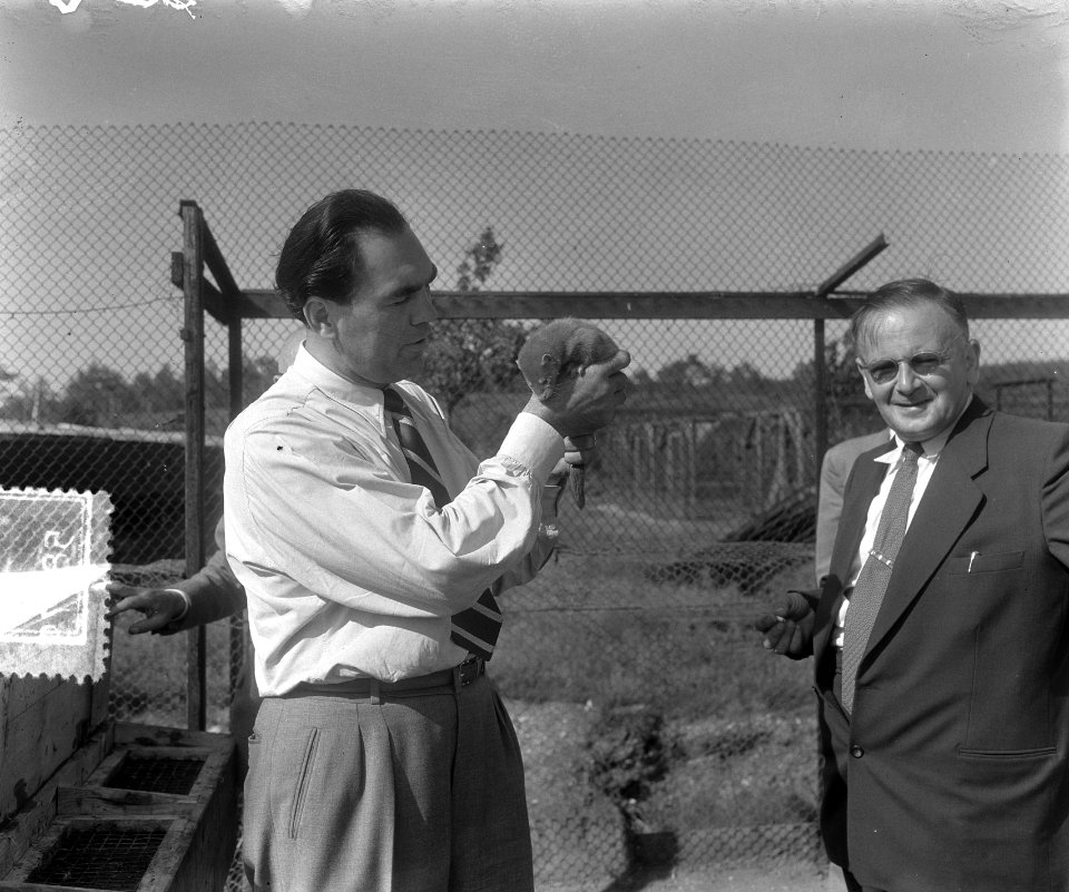 Max Schmeling in Nederland (Elst) bezichtigt Nertzfarm, Bestanddeelnr 905-8079