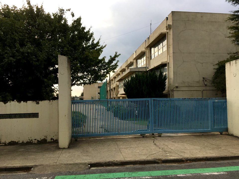 Matsudo negiuchi elemenatry school02