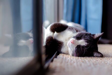 Sleeping resting heat