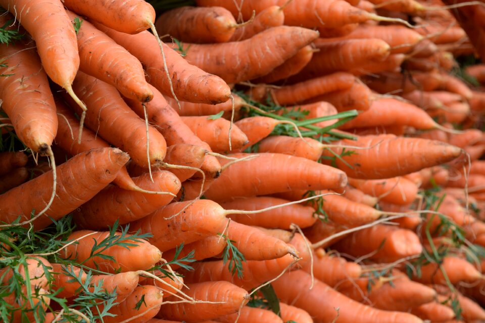 Vegetables veggies carrots