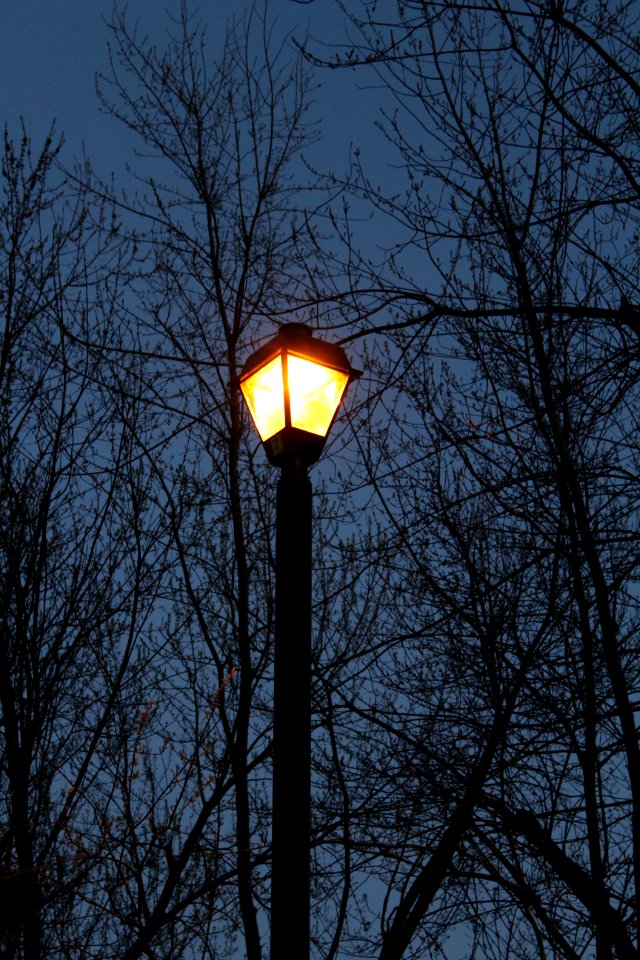 May 2018, Milliken Park35