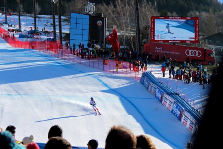 Maxence Muzaton - Pista Stelvio - Bormio 28.12.2019 - 06