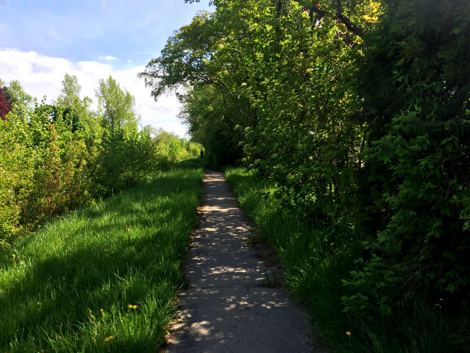 May 2018, North Scarborough Green Loop2