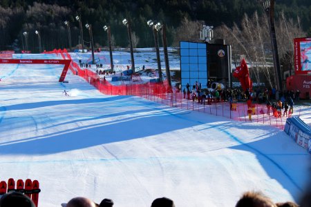Maxence Muzaton - Pista Stelvio - Bormio 28.12.2019 - 02
