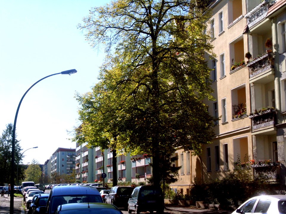 Maxlingner-vonBinz-westseite