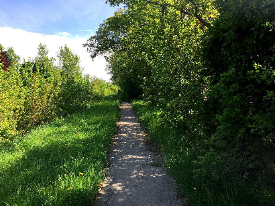 May 2018, North Scarborough Green Loop3