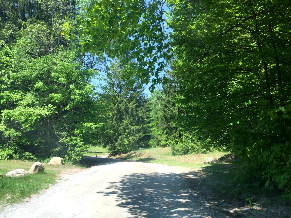 May 2018, Woodland Trails Scout Camp6