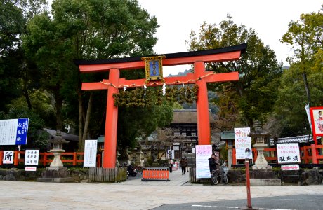 Matsunoo-taisha torii