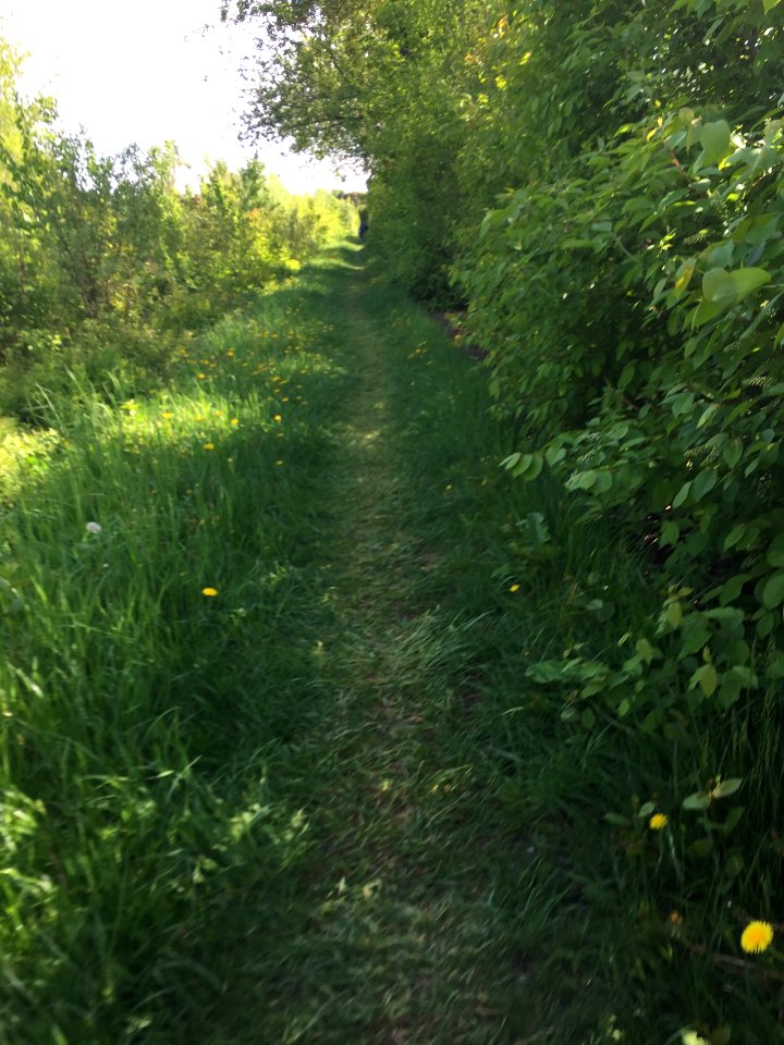 May 2018, North Scarborough Green Loop