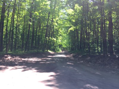 May 2018, Woodland Trails Scout Camp3