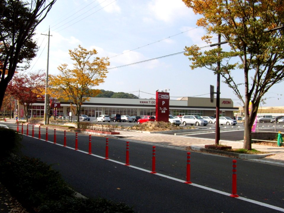 MaxValu Tomigaoka