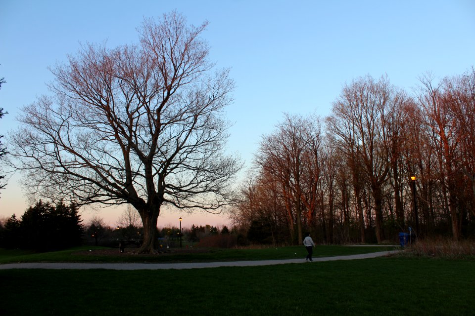 May 2018, Milliken Park9
