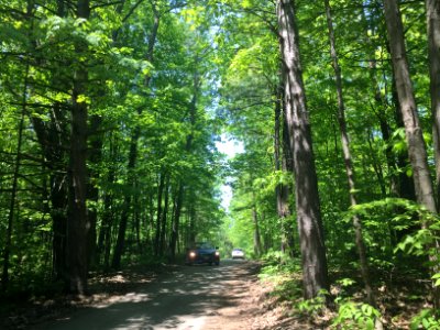 May 2018, Woodland Trails Scout Camp4