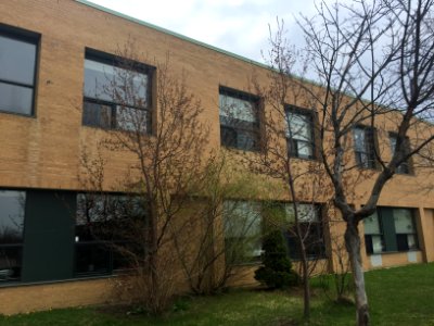May 2018, Armadale Public School5