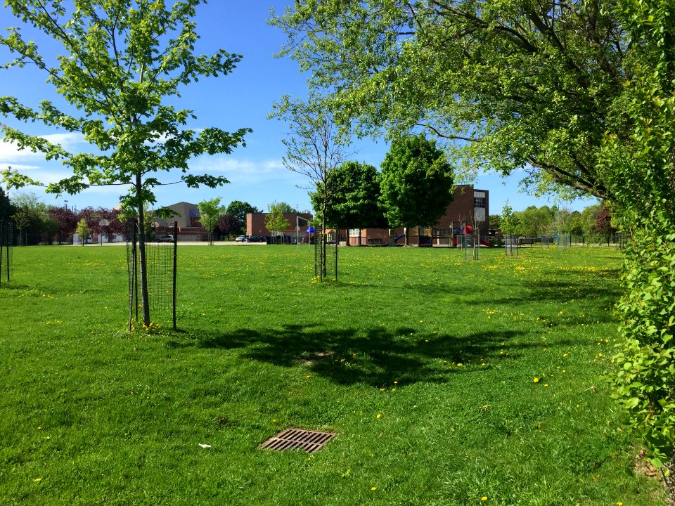 May 2018, St. Aidan Catholic School4