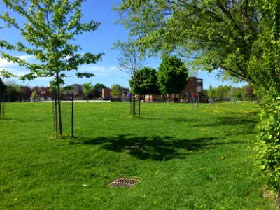 May 2018, St. Aidan Catholic School4