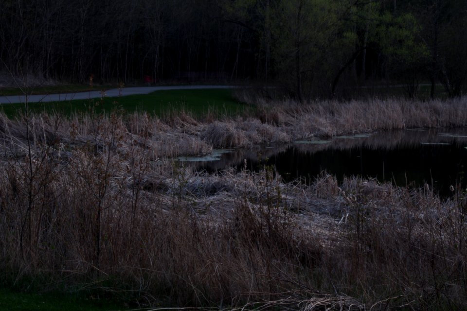 May 2018, Milliken Park26