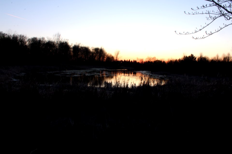 May 2018, Milliken Park28