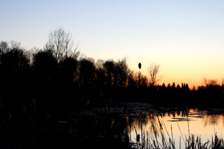 May 2018, Milliken Park33