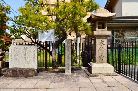 Monomi-matsu of Chosokabe Morichika