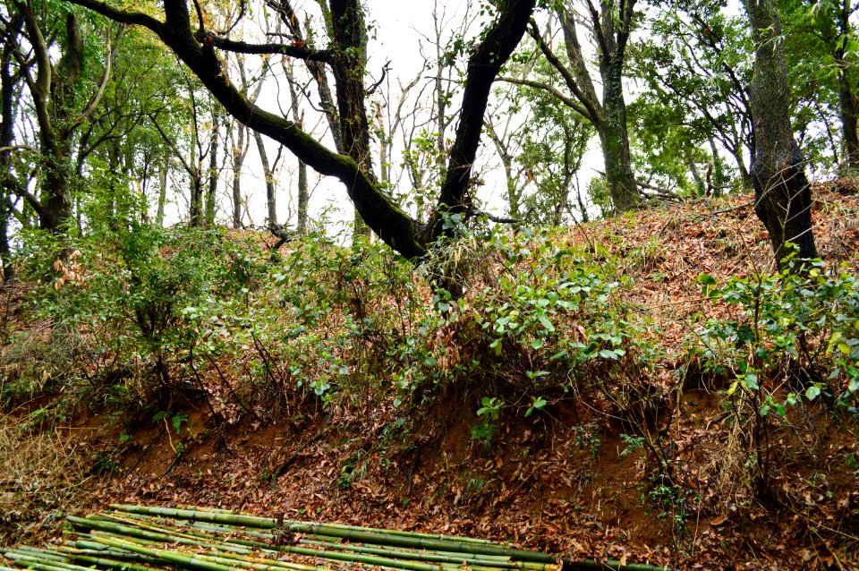 Monomiyagura Kofun, zenkei