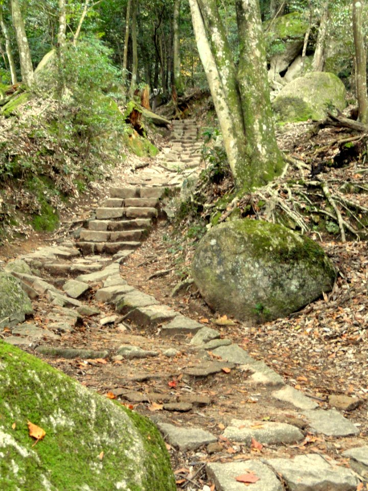 Momijidani Climbing Course (Mount Misen, Miyajima) - DSC01992