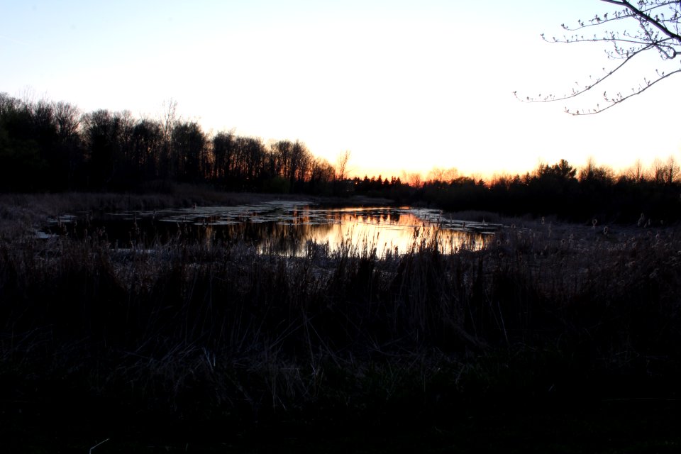 May 2018, Milliken Park29