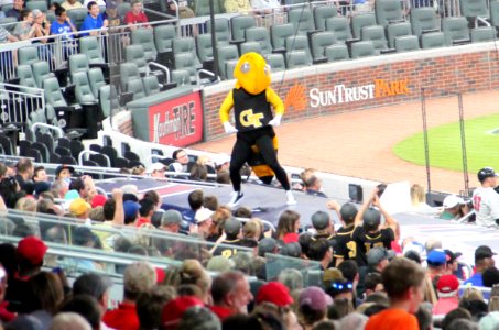 May 2017 GT vs. UGA baseball - Buzz dancing on dugout 1