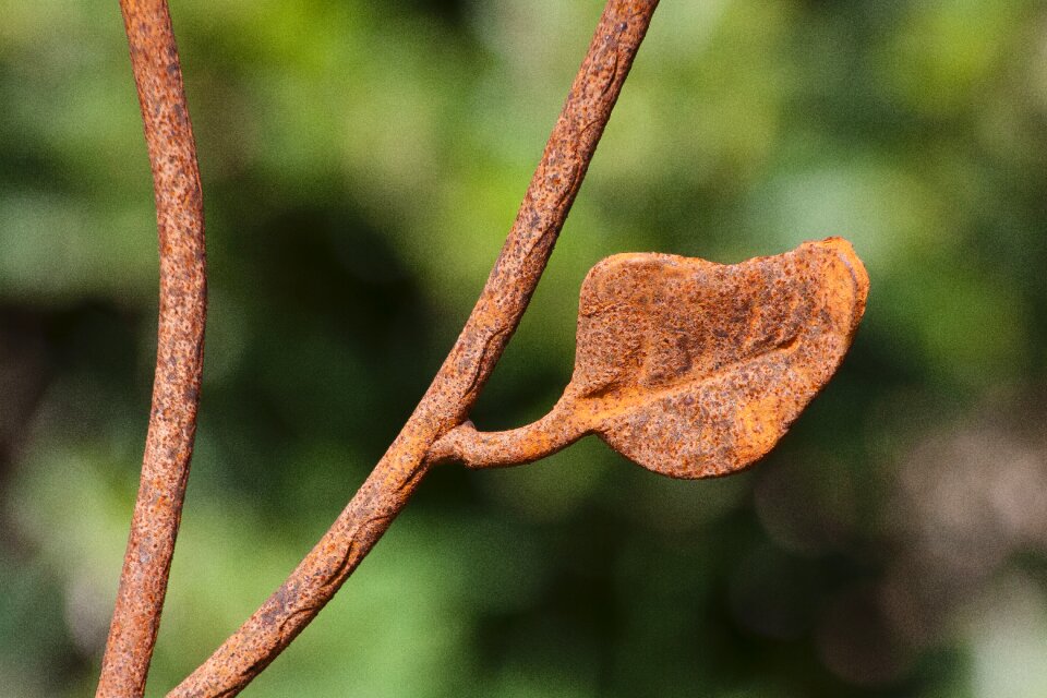 Detail wrought iron forged