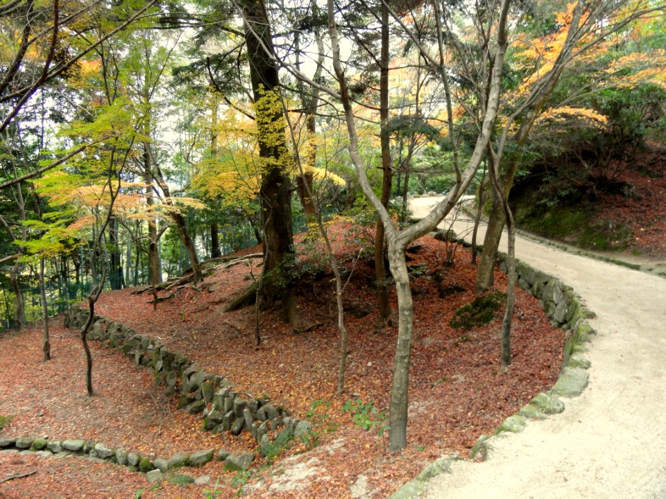 Momijidani Climbing Course (Mount Misen, Miyajima) - DSC01961