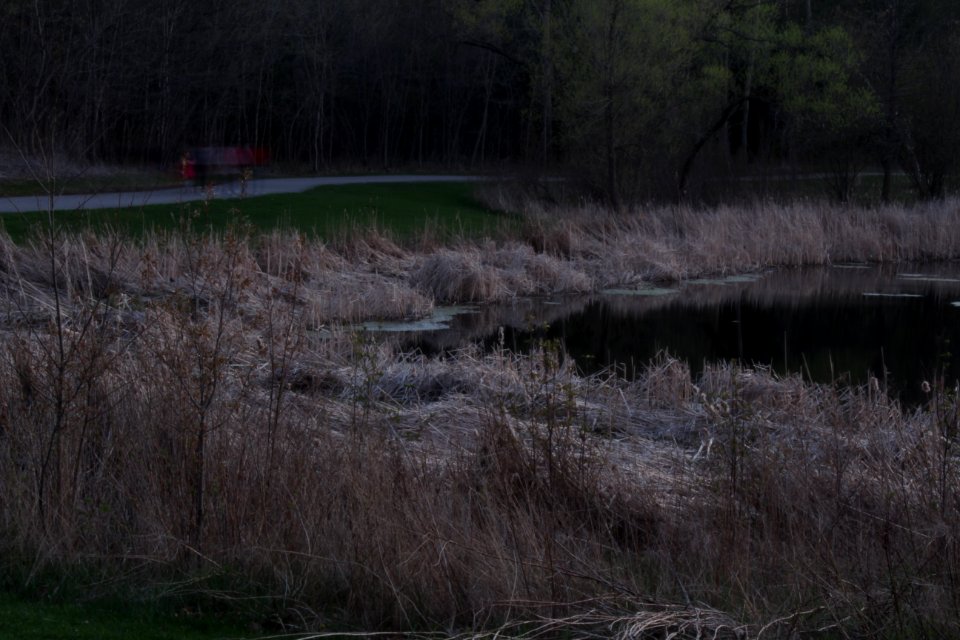 May 2018, Milliken Park25