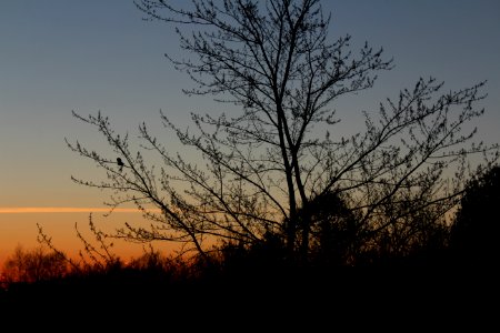 May 2018, Milliken Park27