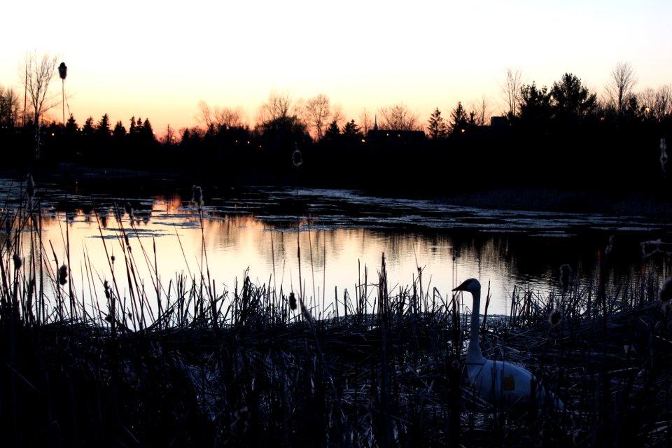 May 2018, Milliken Park31